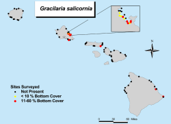 GRACILARIA map