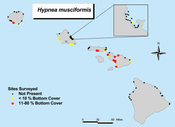 Hynea map